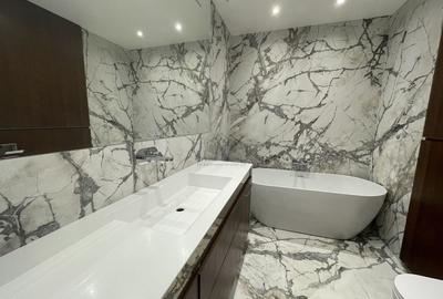 APARTAMENT DE LUX CU 5 CAMERE APROAPE DE BULEVARD KISELELFF APARTAMENT DE LUX CU 5 CAMERE APROAPE DE BULEVARD KISELELFF - 7