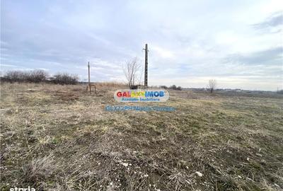 Teren de 46500 mp, în Ariceștii Rahtivani - 5