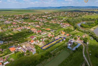 Teren intravilan de vanzare in Mandruloc - 12