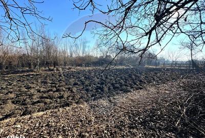 Teren de 2478 mp, în Săucești - 2