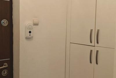 Apartament cu 2 camere în Brazda lui Novac - 10
