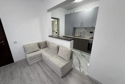 Apartament cu 2 camere, mobilat în Banu Manta - 2