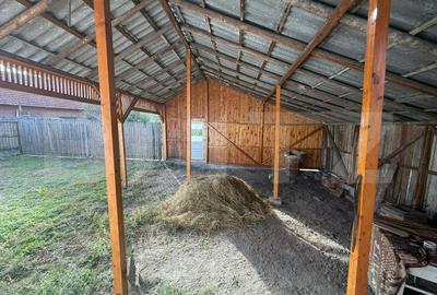 Casa de vanzare, Malu cu Flori - 9