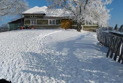 Casă cu 4 camere cu Teren 60000 Mp în Central - 5