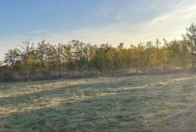 Teren de 920 mp, în Pruni - 3