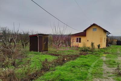 BARCANESTI - casa +curte+teren 16k mp - 2