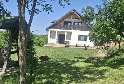 Casă cu Teren 2860 Mp în Țigănași - 3