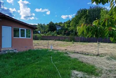 Casă cu 3 camere cu Teren 3000 Mp în Breaza - 14
