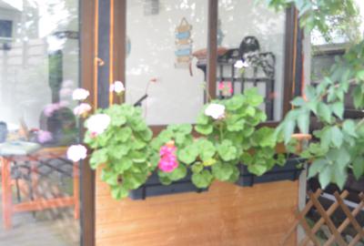 Casa speciala situata langa partia Kalinderu - 4