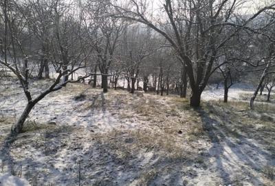 Teren de 5950 mp, în Scorțeni - 14