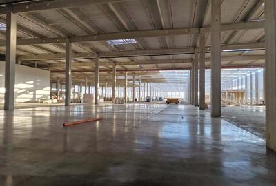 Spatiu industrial - 3