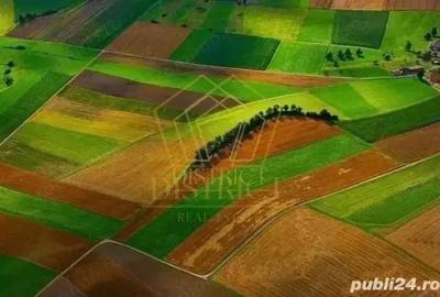 Parcele de teren industrial sau comercial | VGP | Ghiroda Parcele de teren industrial sau comercial | VGP | Ghiroda - 2