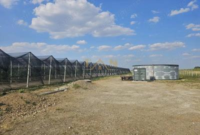 Spațiu comercial, de 100,000 mp, în Vest