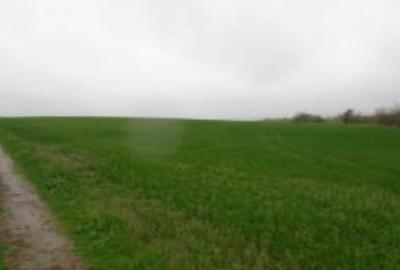 Teren extravilan 12500 mp, Valea Mare, Olt - 1