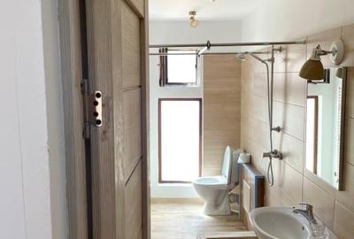 Casa de vacanta superba cu vedere la Dunare - Topalu, Constanta - 12