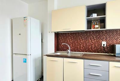 Apartament cu 3 camere decomandat, mobilat în Tineretului - 17