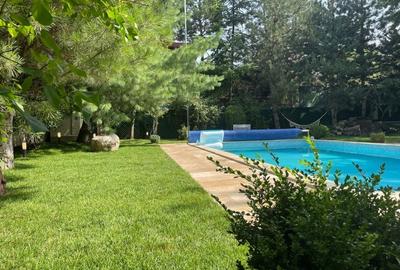 Resedinta deosebita,renovata 2023,P+2,garaj 2 loc, sauna, piscina, teren 1130 mp - 20