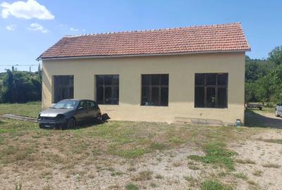 Spațiu comercial, în Oșorhei - 6