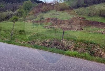 Teren Construcții de 4780 mp, în Vadu Izei - 5