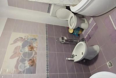 Vand casa la curte - 14