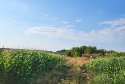 VANZARE TEREN EXTRAVILAN VANZARE TEREN EXTRAVILAN - 6