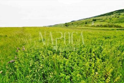 Teren extravilan pentru constructii de vanzare in Popesti - 4