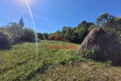 Teren intravilan in Poiana Campina 4285 mp parcelabil 11,6e - 9