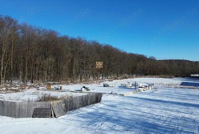 Teren de 9850 mp, în Dragomirna - 2
