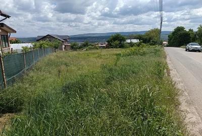 TEREN INTRAVILAN, TOATE UTILITATILE, DESCHIDERE LA SOSEA, ACTE IN REGULA, HORPAZ - 5