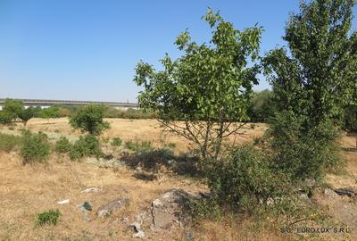 Teren de 1500 mp, în Aradul Nou - 2