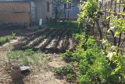 Casa batraneasca de vanzare Casa batraneasca de vanzare - 1