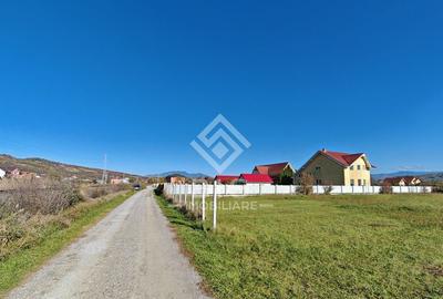 Teren 800 mp - Unirea - 5