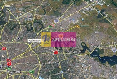 Teren Construcții intravilan de 7500 mp, în Dobroești - 2