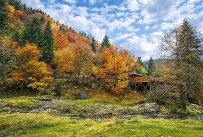Teren în Zărnești - 6