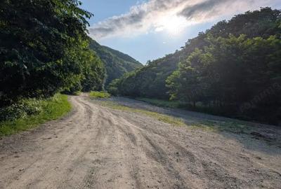 Sarata Bai- Oportunitate investi?ie- 4038 mp- priveli?te spectacol - 2