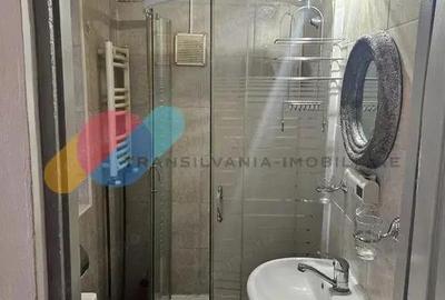 Apartament 1 camera la casa, cu terasa ?i curte Andrei Mure?anu, PET FRIENDLY Apartament 1 camera la casa, cu terasa ?i curte Andrei Mure?anu, PET FRIENDLY - 4