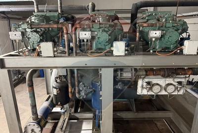 Proprietate specială, de 430,000 mp, în Adunații-Copăceni - 24