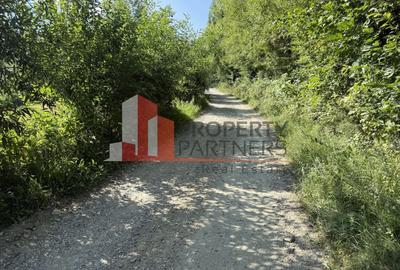 Teren Sohodol 5000 mp - 7