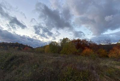 Spațiu comercial, în Central - 2