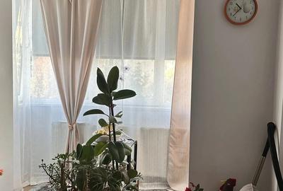 De vanzare apartament cu 4 camere, complet renovat, mobilat ?i utilat, zona Favorit - 4