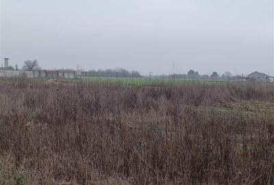 Vanzare Teren Corbeanca- Strada Trei Lacuri - 10