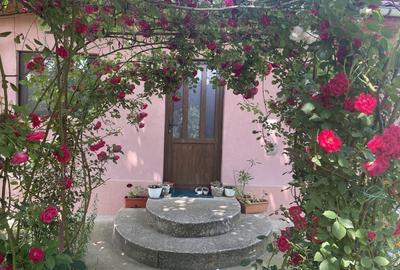 Comuna Marzanesti, sat Valea Parului, str Lalelelor, Teleorman - 6