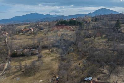 Teren 1,614mp Sohodol / Strada Inv. Ioan Puscariu - 4