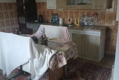 Vand sau schimb casa P+E+M in Savarsin jud Arad - 4