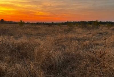Teren agricol extravilan de 5000 mp, în Brestei - 2