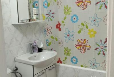 Garsonieră semidecomandată în Brazda lui Novac - 2