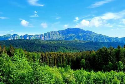 Casă individuală cu 20 camere cu Canalizare în Cioplea - 2