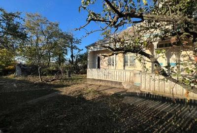 Casa strada principala 650m Horlesti Rediu - 2