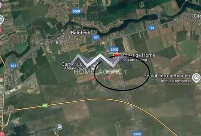 Teren de 9700 mp, în Balotești
