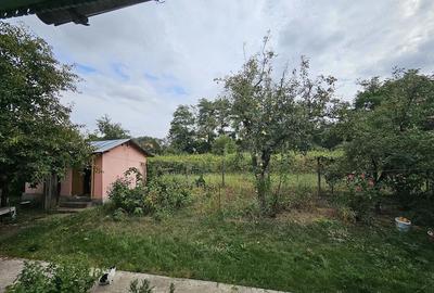 Casă cu Teren 2800 Mp în Bolotești - 4